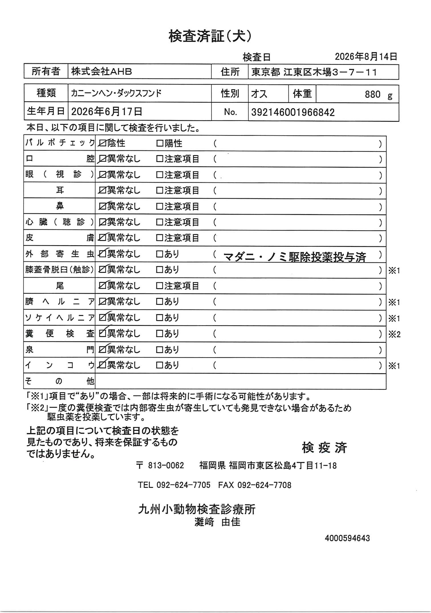 カニーンヘン・ダックスフンド