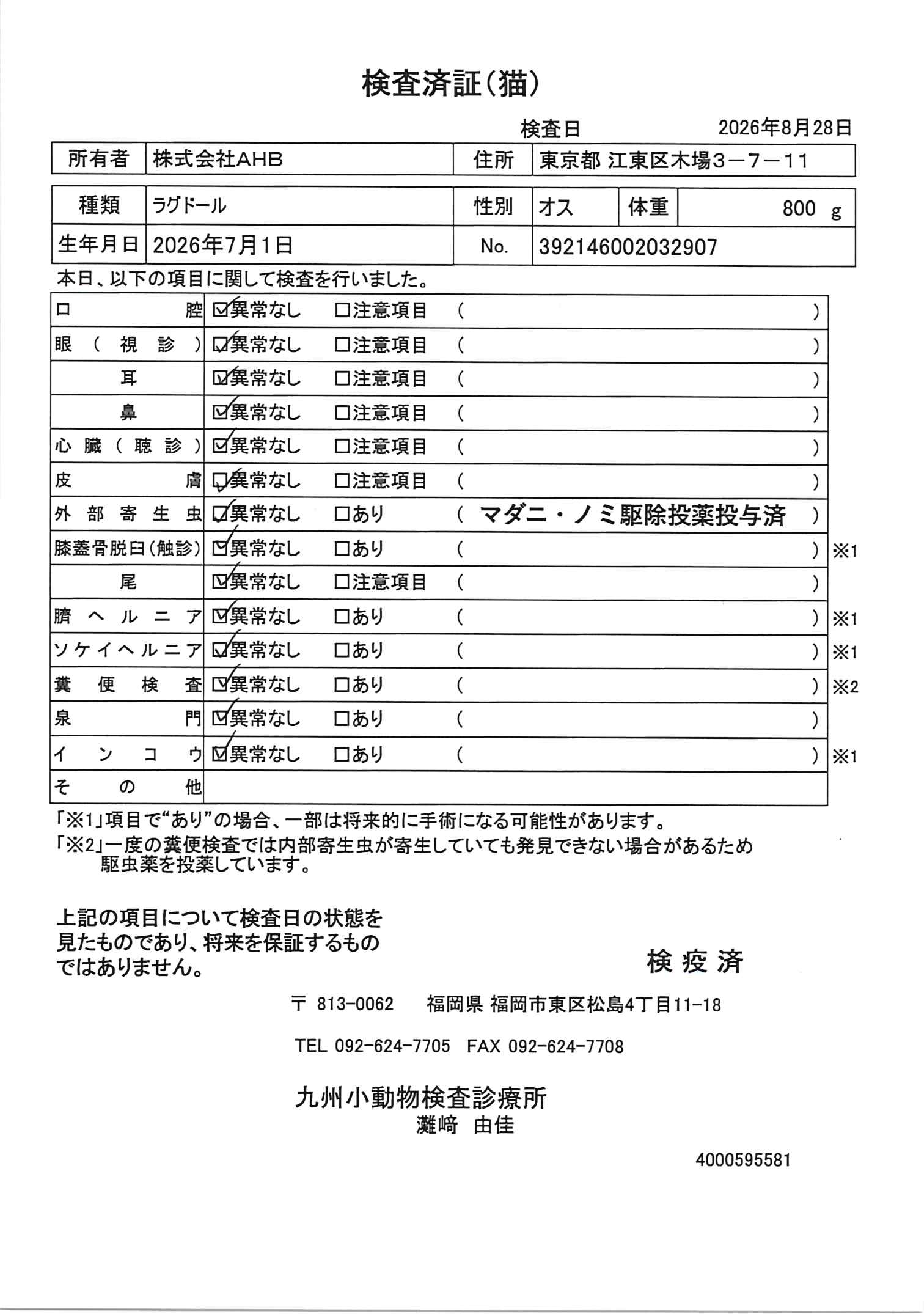 ラグドール