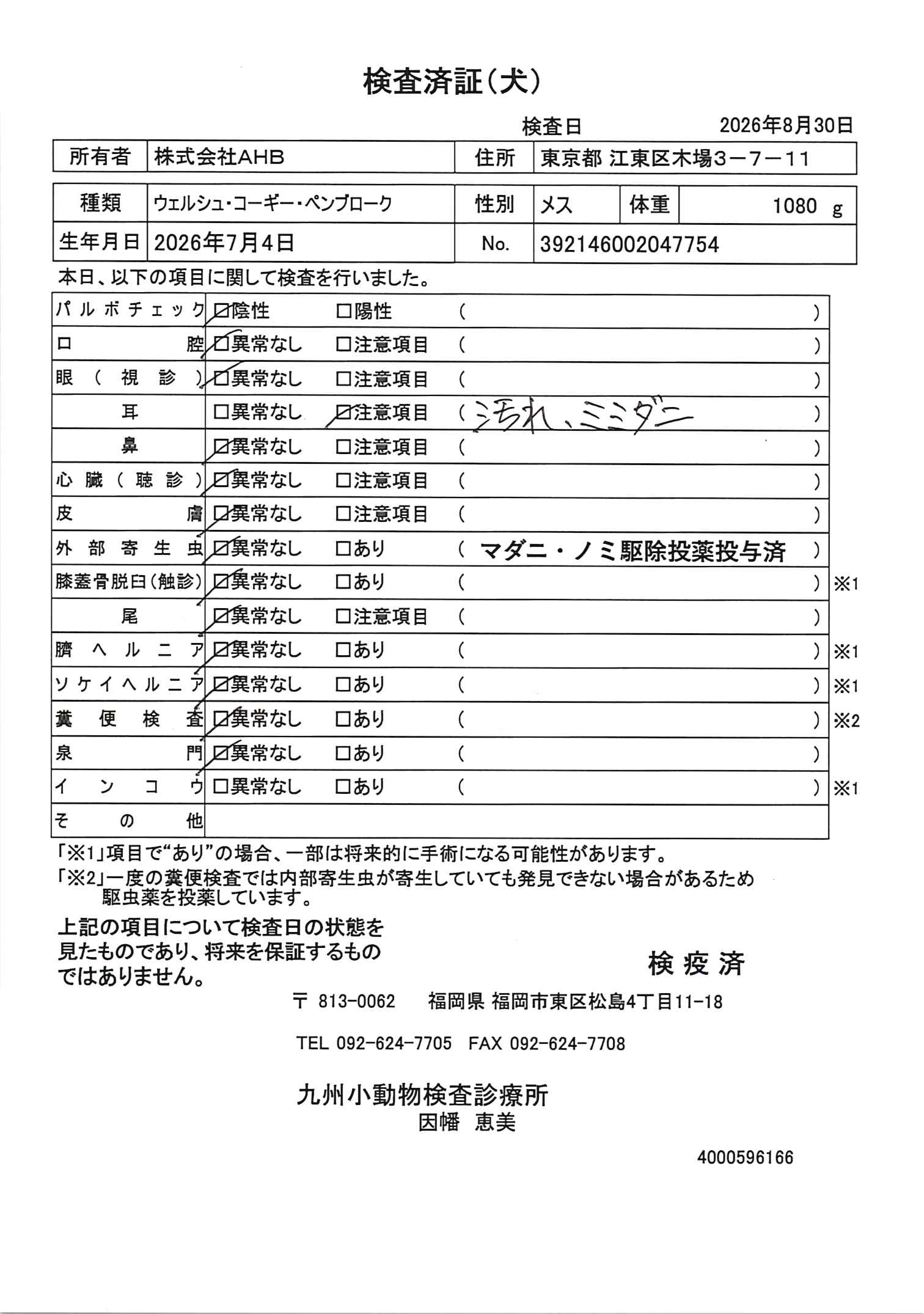 ウェルシュ・コーギー・ペンブローク