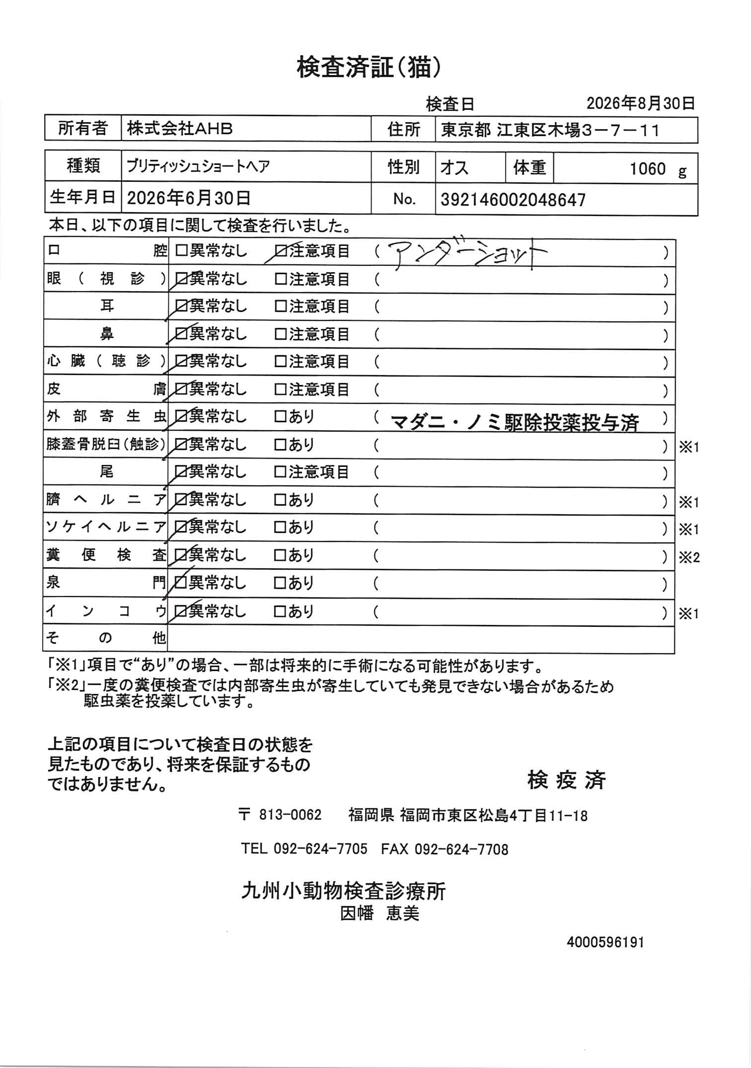 ブリティッシュショートヘア