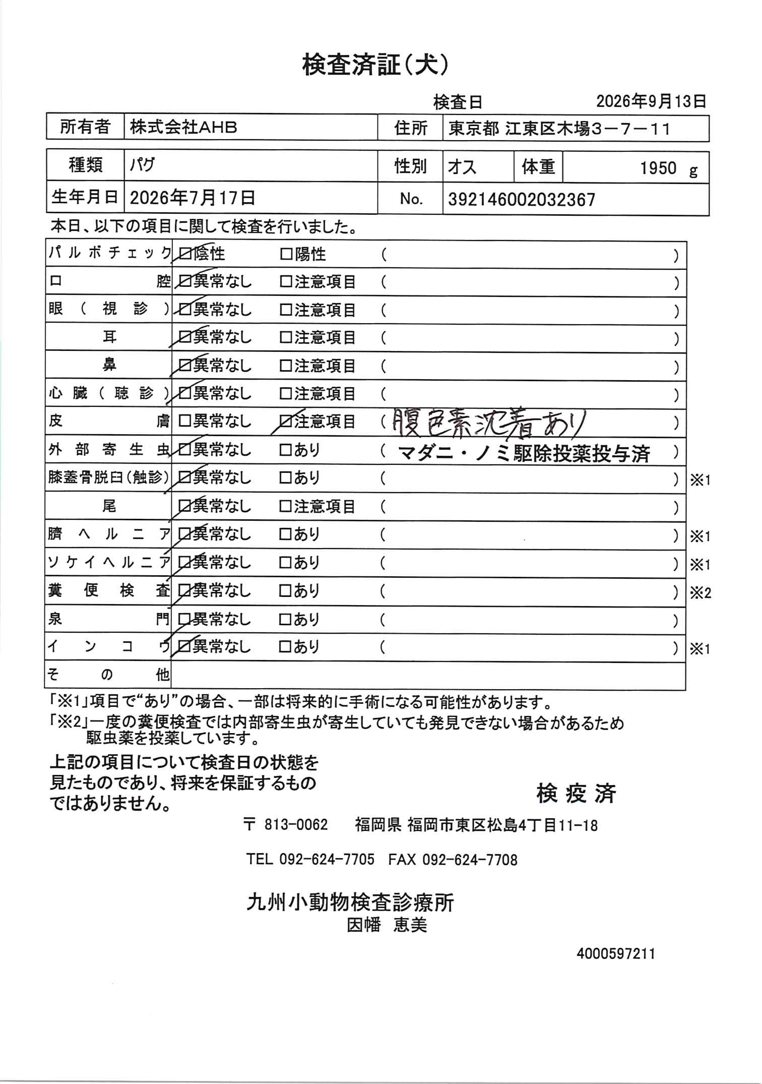 パグ
