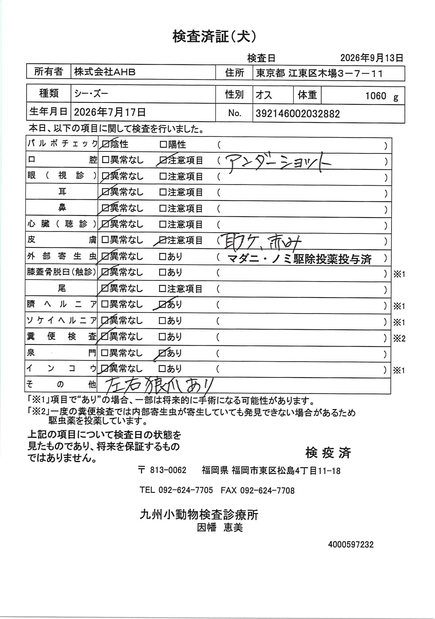 シー・ズー
