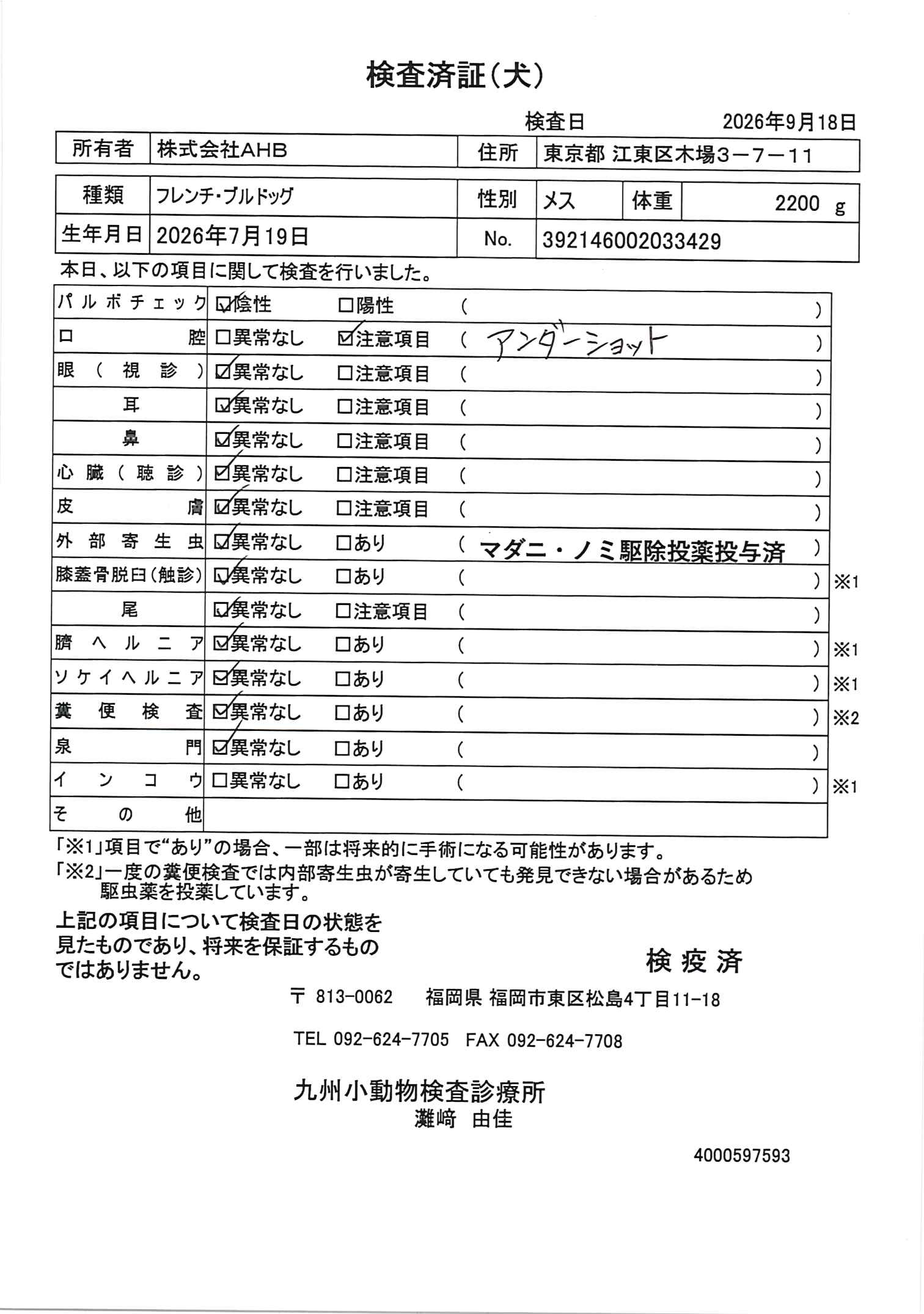 フレンチ・ブルドッグ