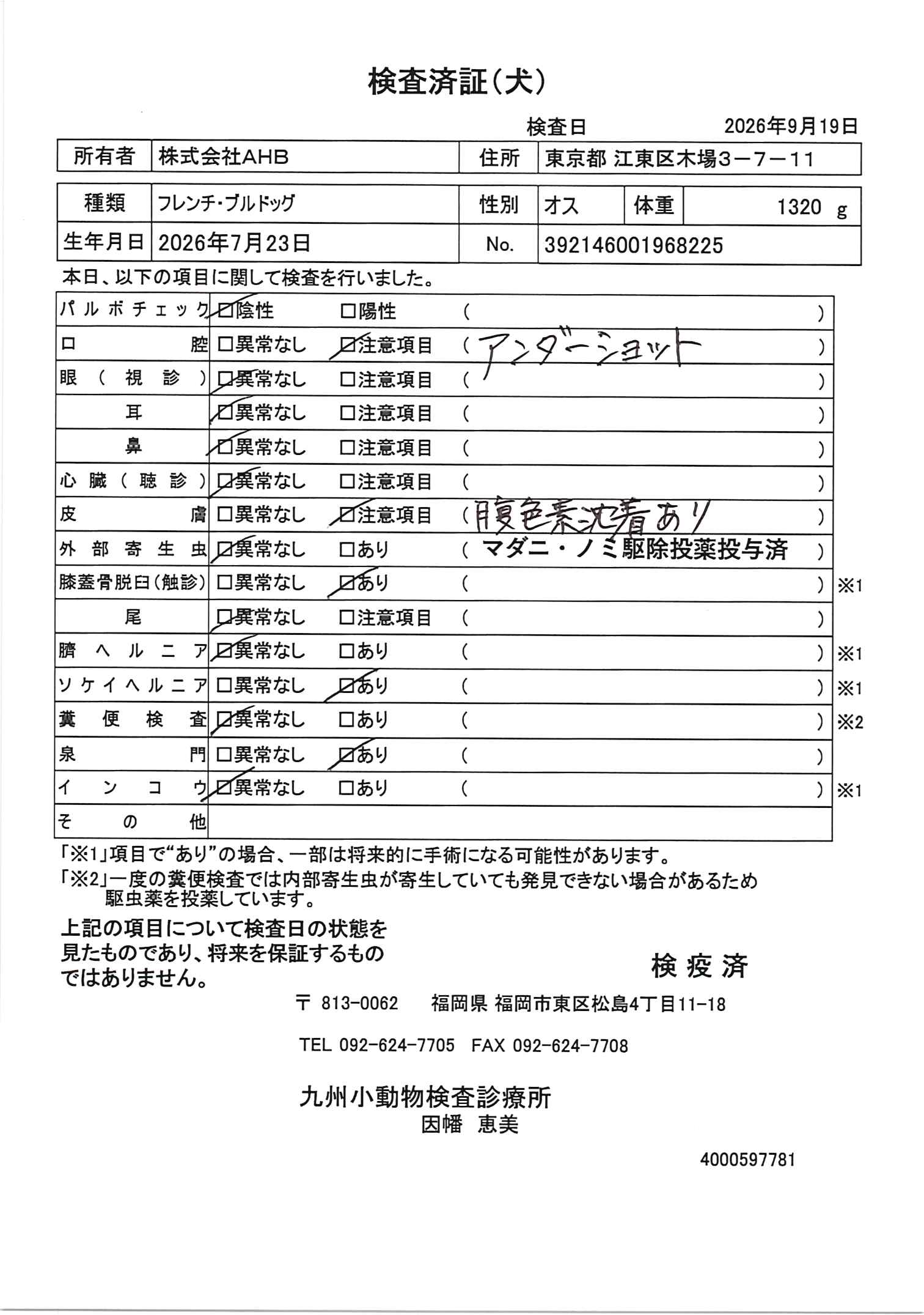 フレンチ・ブルドッグ
