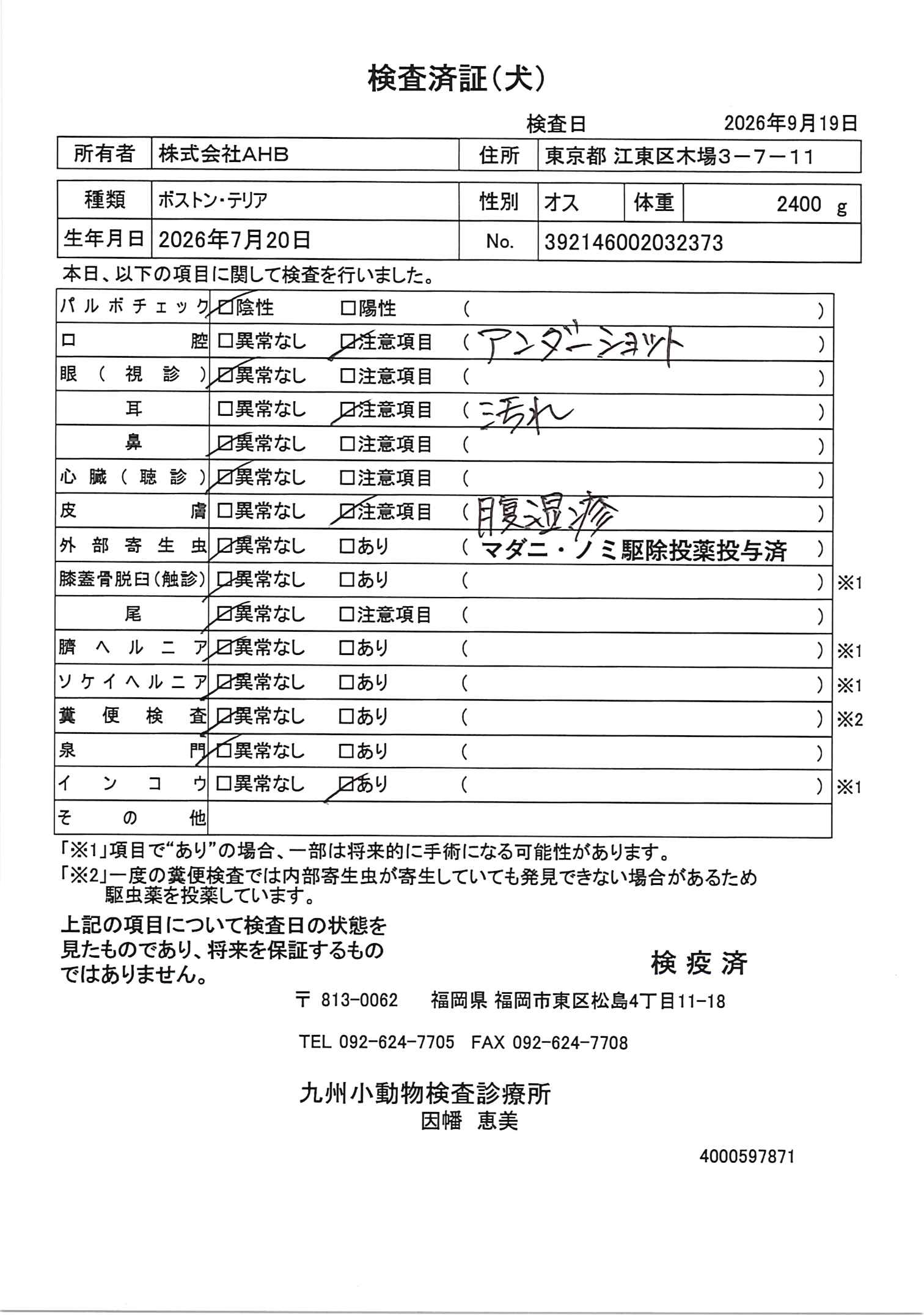 ボストン・テリア