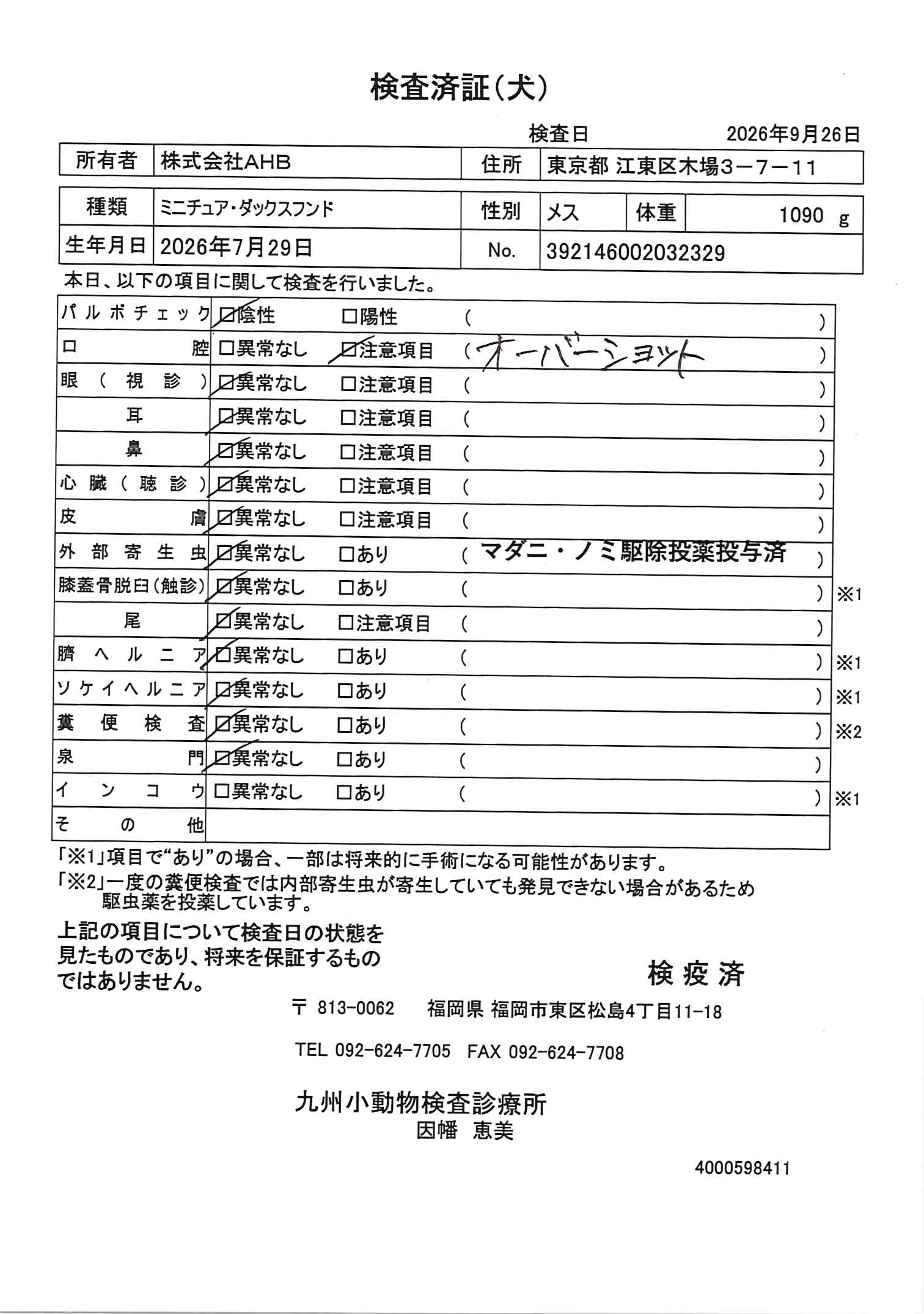 ミニチュア・ダックスフンド