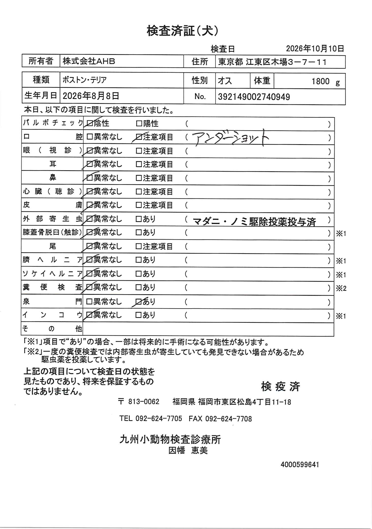 ボストン・テリア