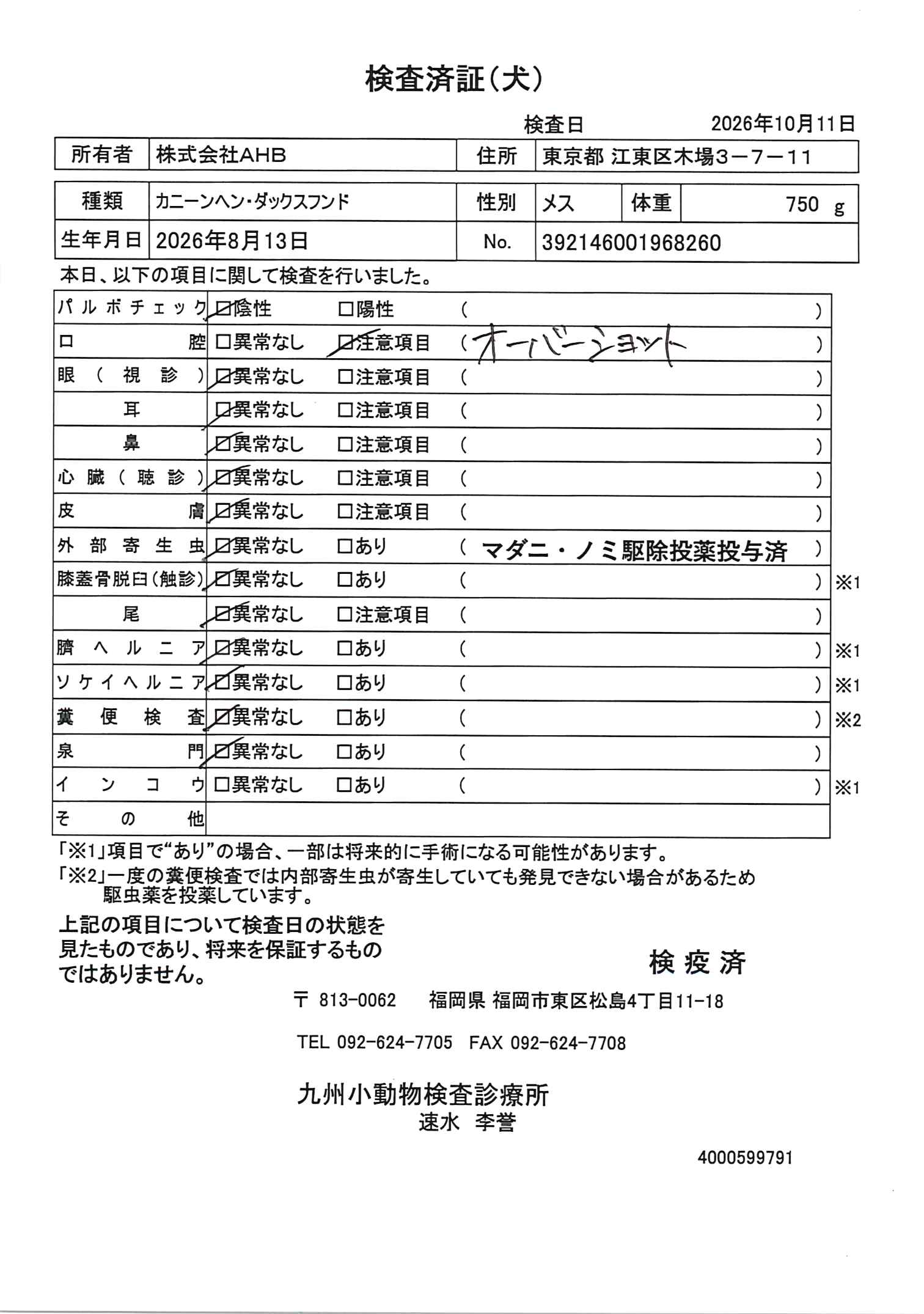 カニーンヘン・ダックスフンド