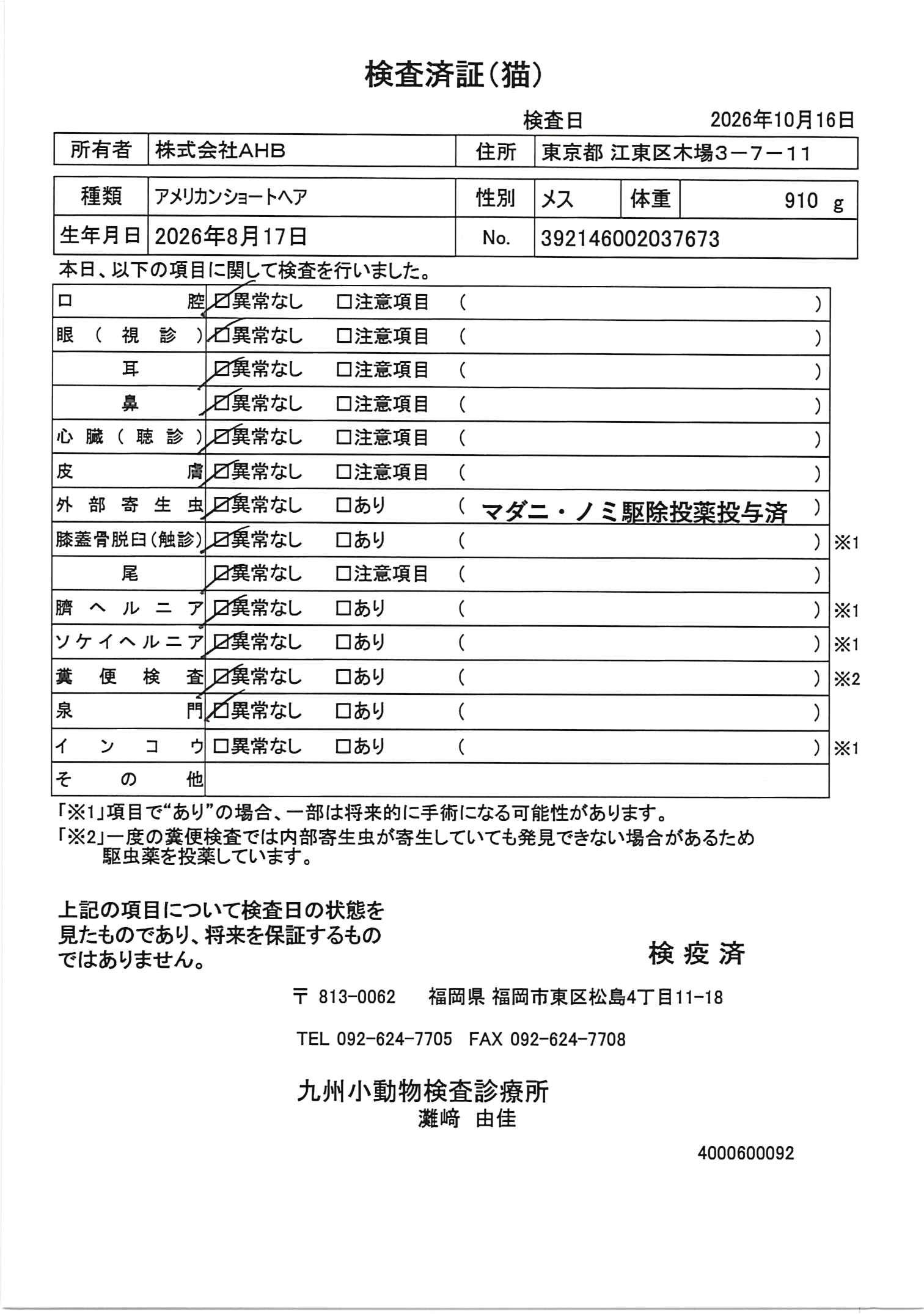 アメリカンショートヘア