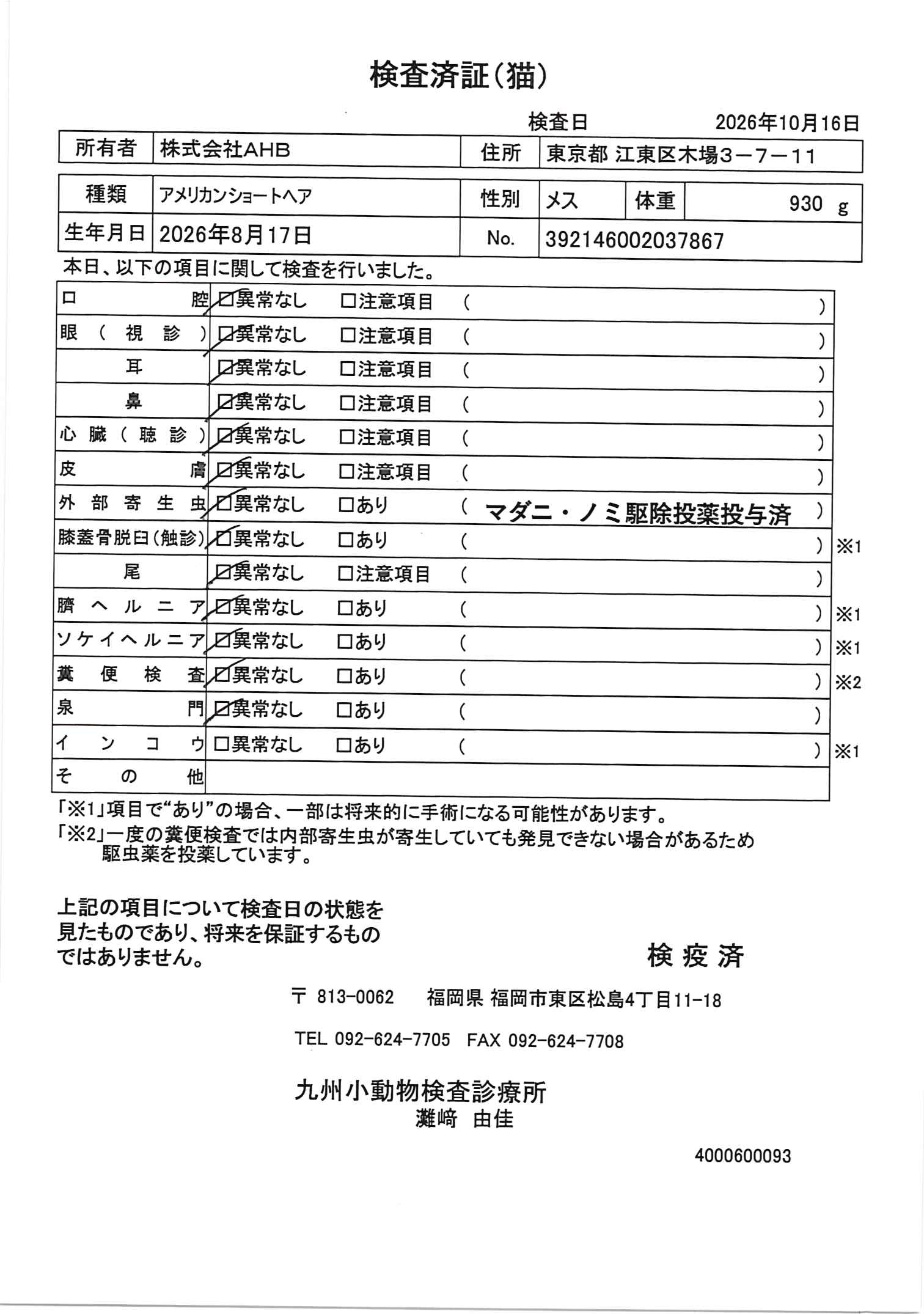 アメリカンショートヘア