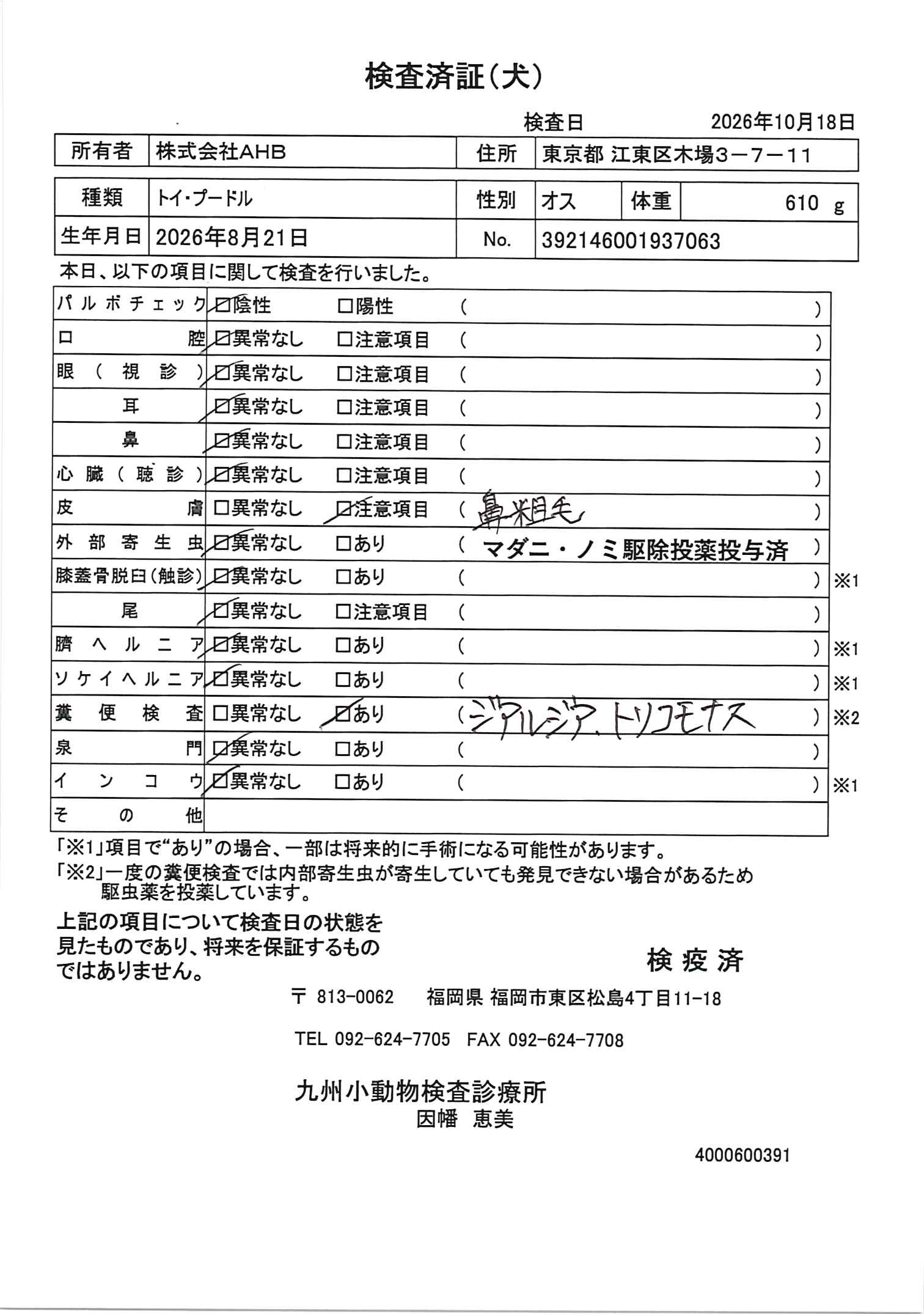 トイ・プードル