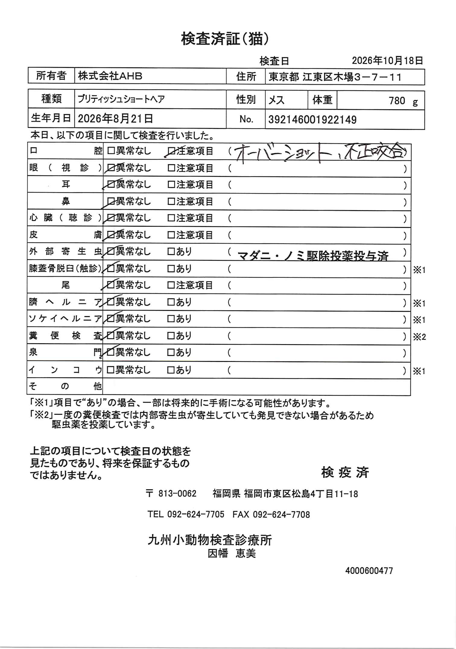 ブリティッシュショートヘア