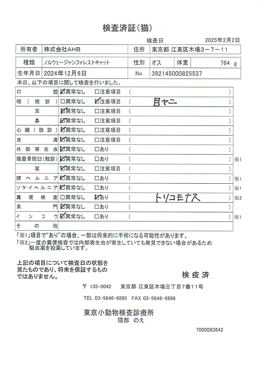 ノルウェージャンフォレストキャット