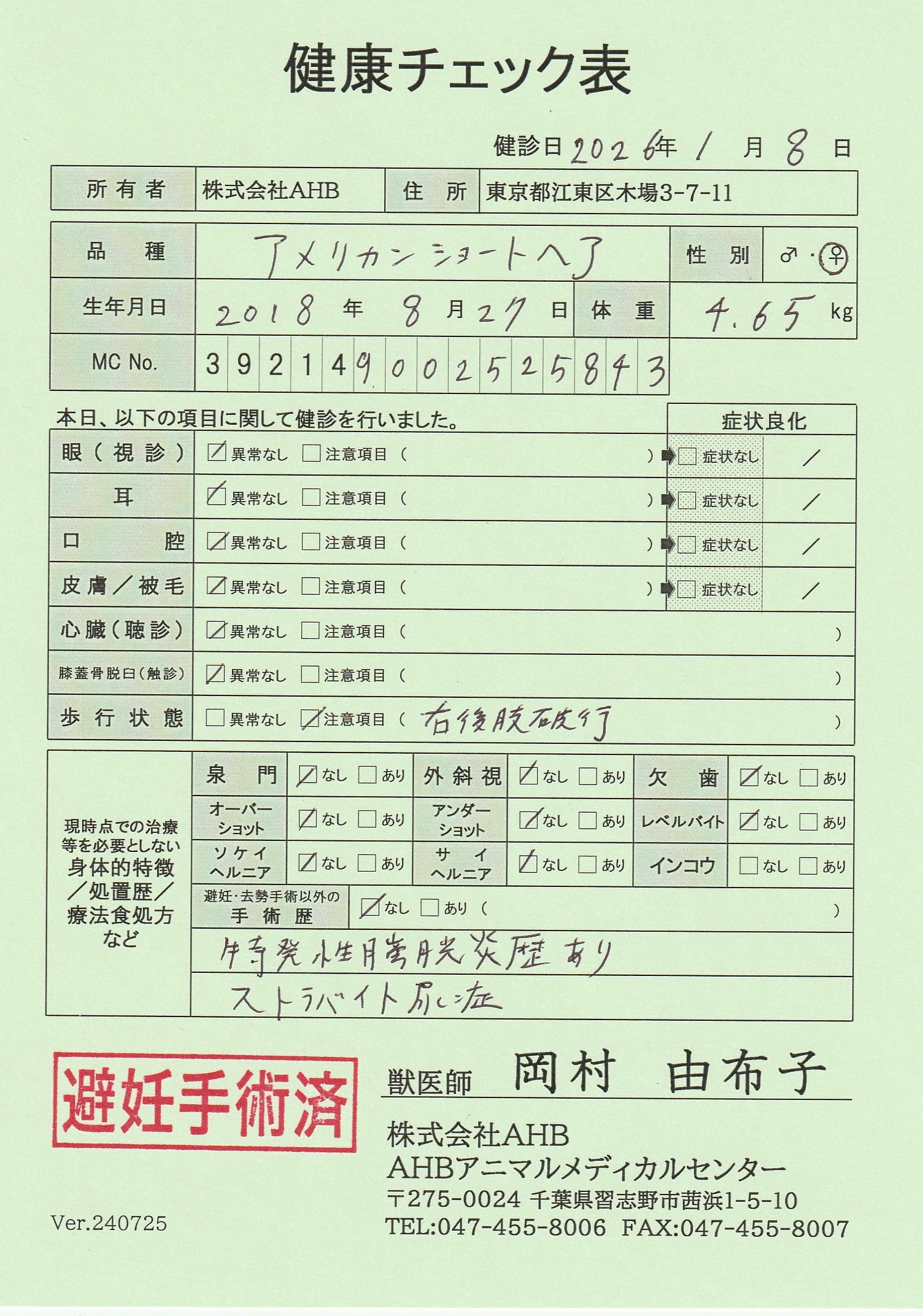 アメリカンショートヘア