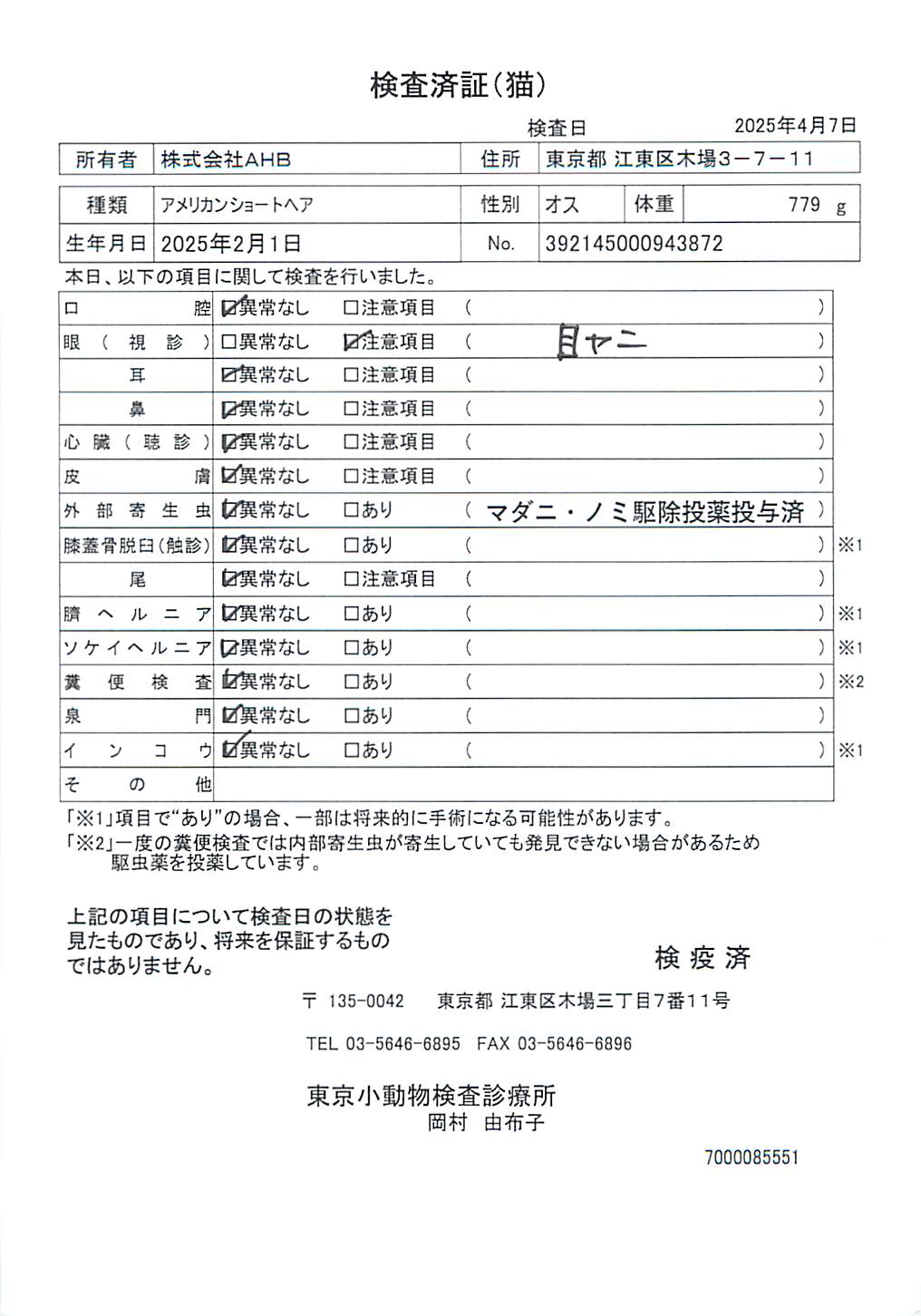 アメリカンショートヘア