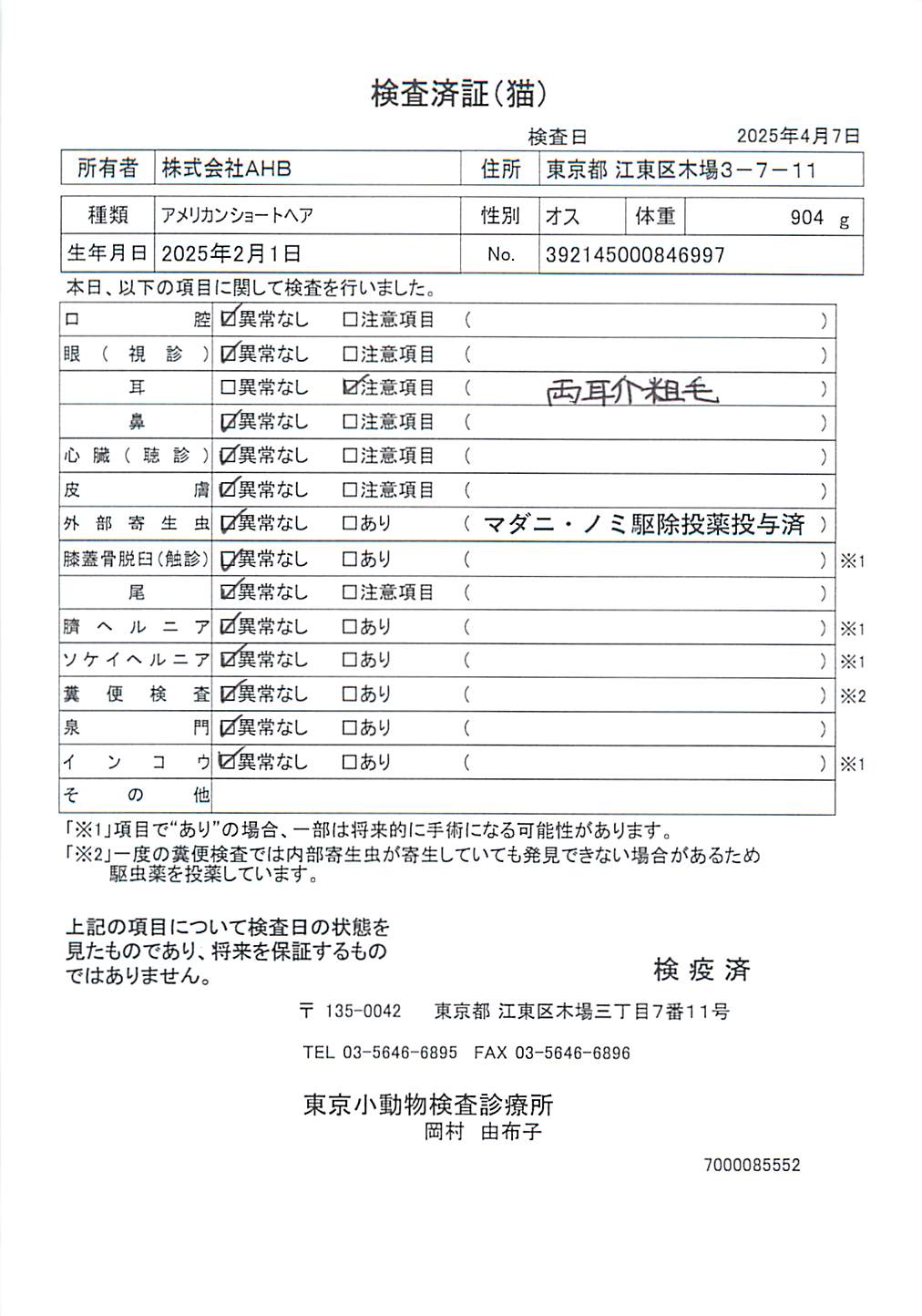 アメリカンショートヘア