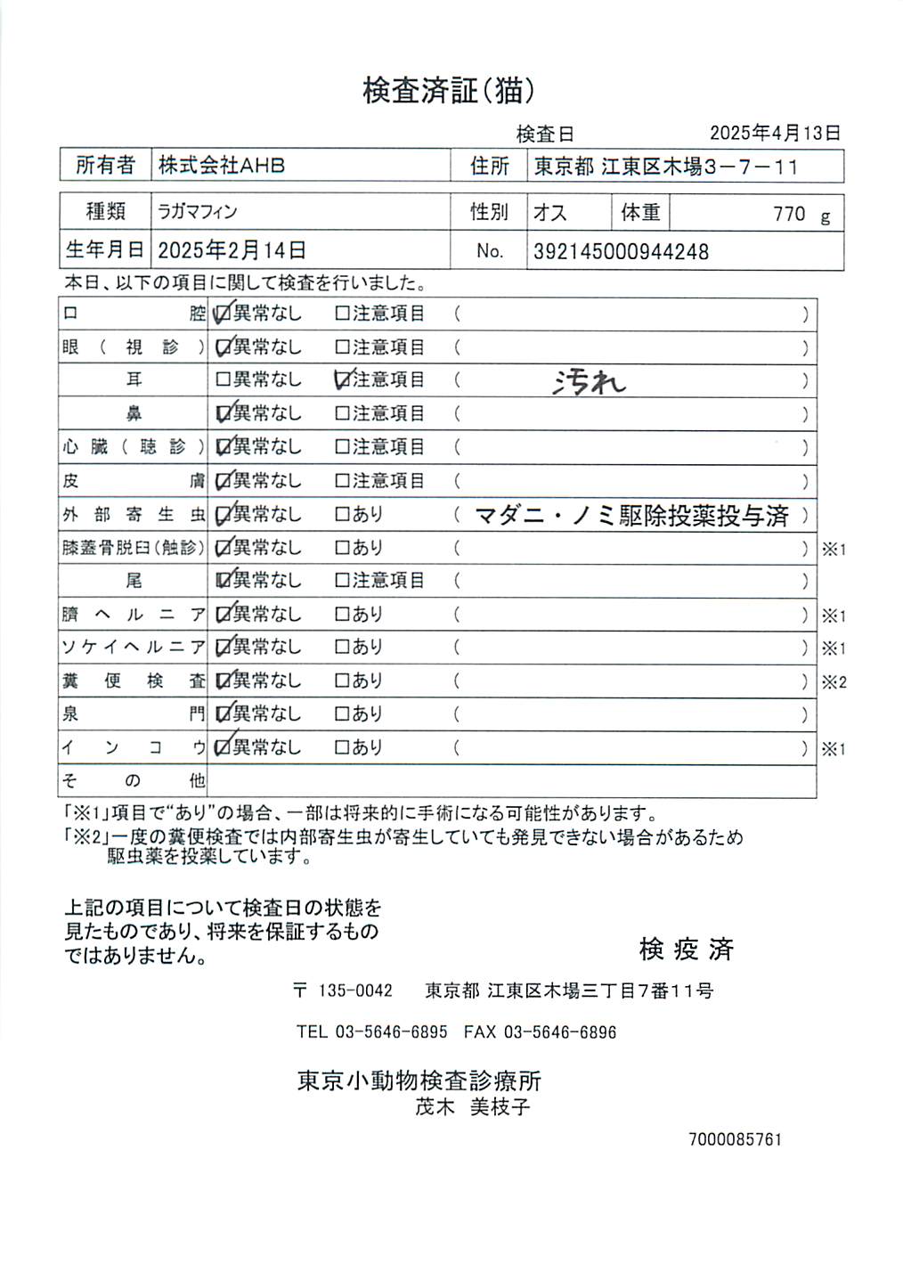 ラガマフィン