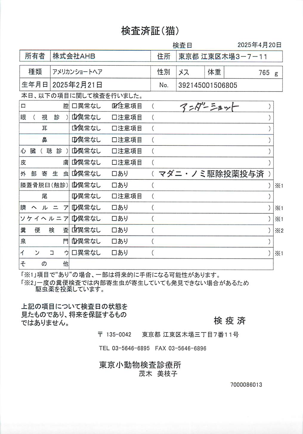 アメリカンショートヘア