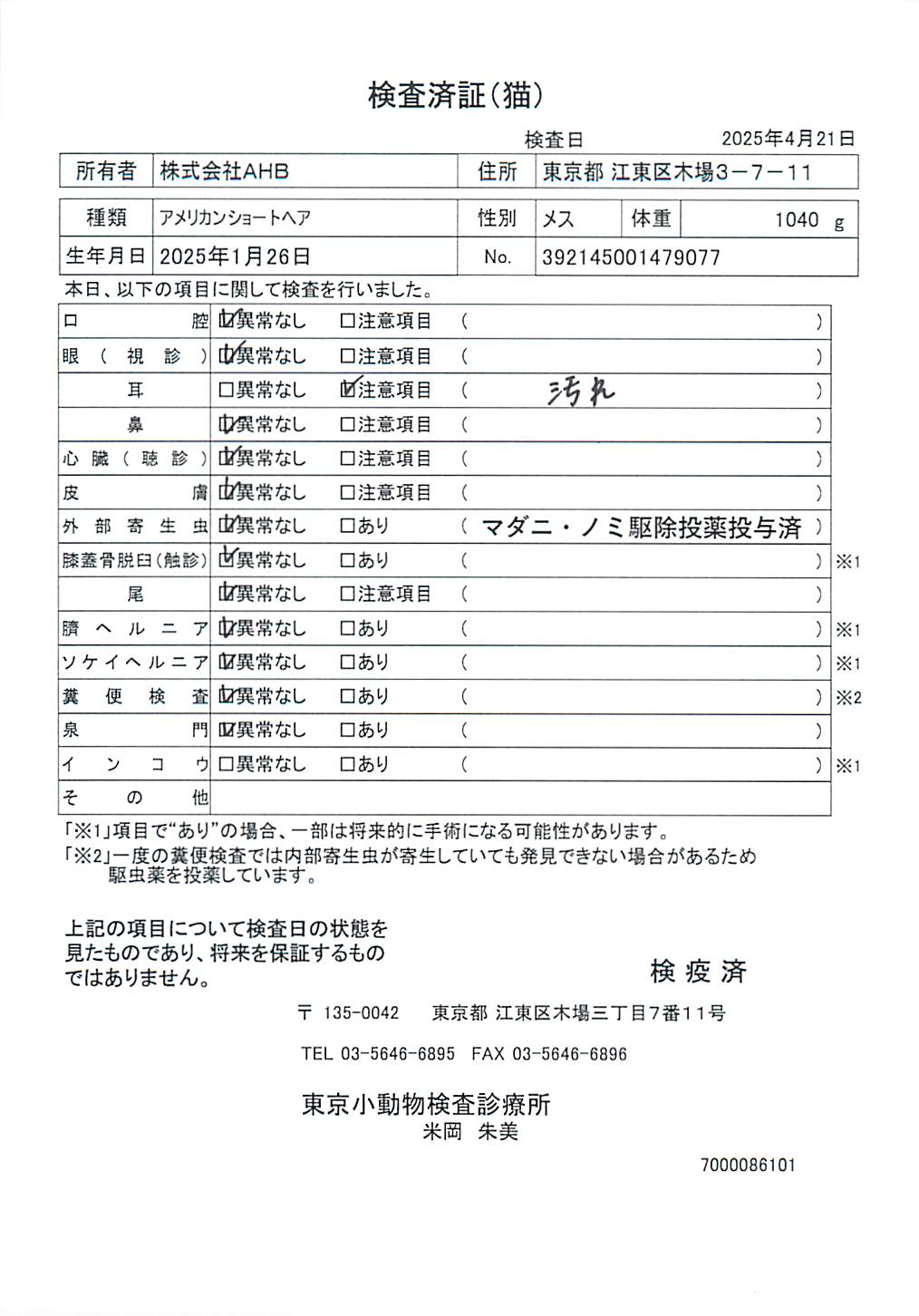 アメリカンショートヘア