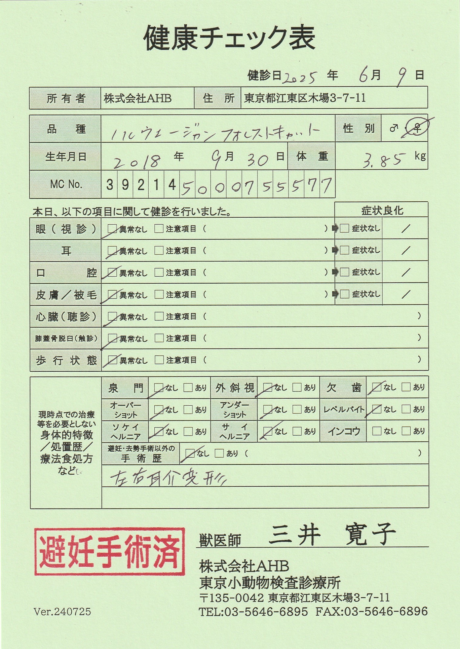 ノルウェージャンフォレストキャット