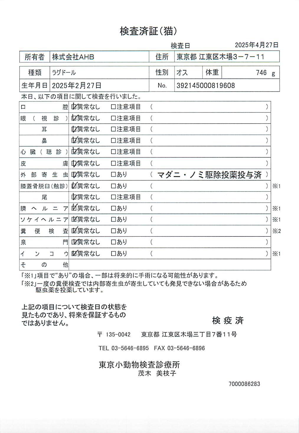 ラグドール