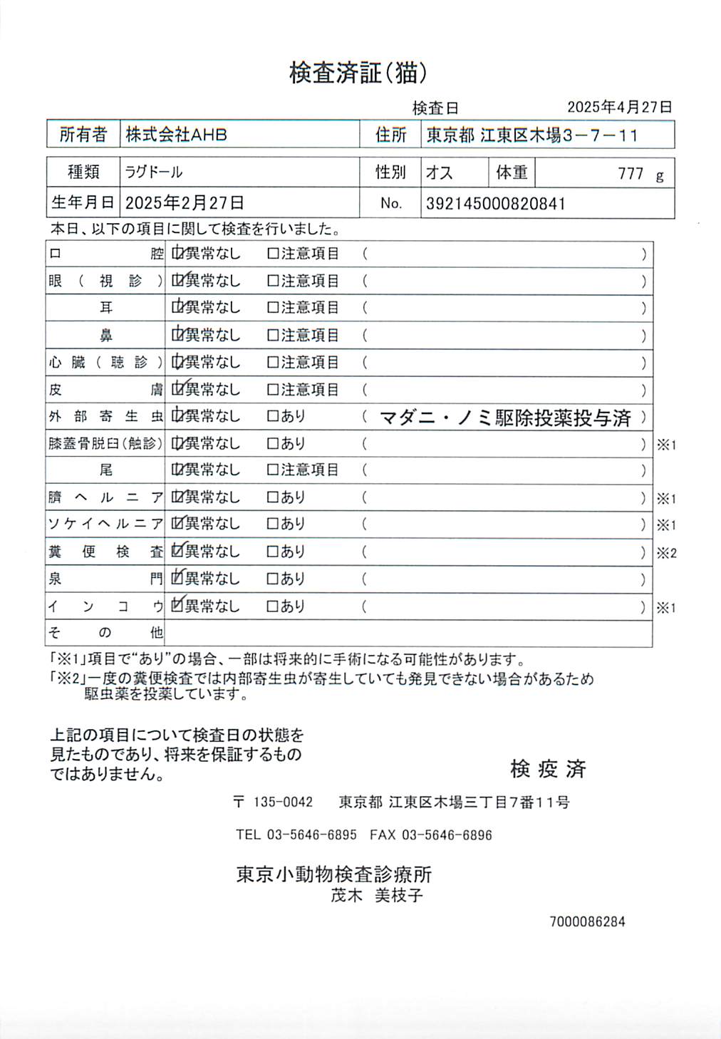 ラグドール