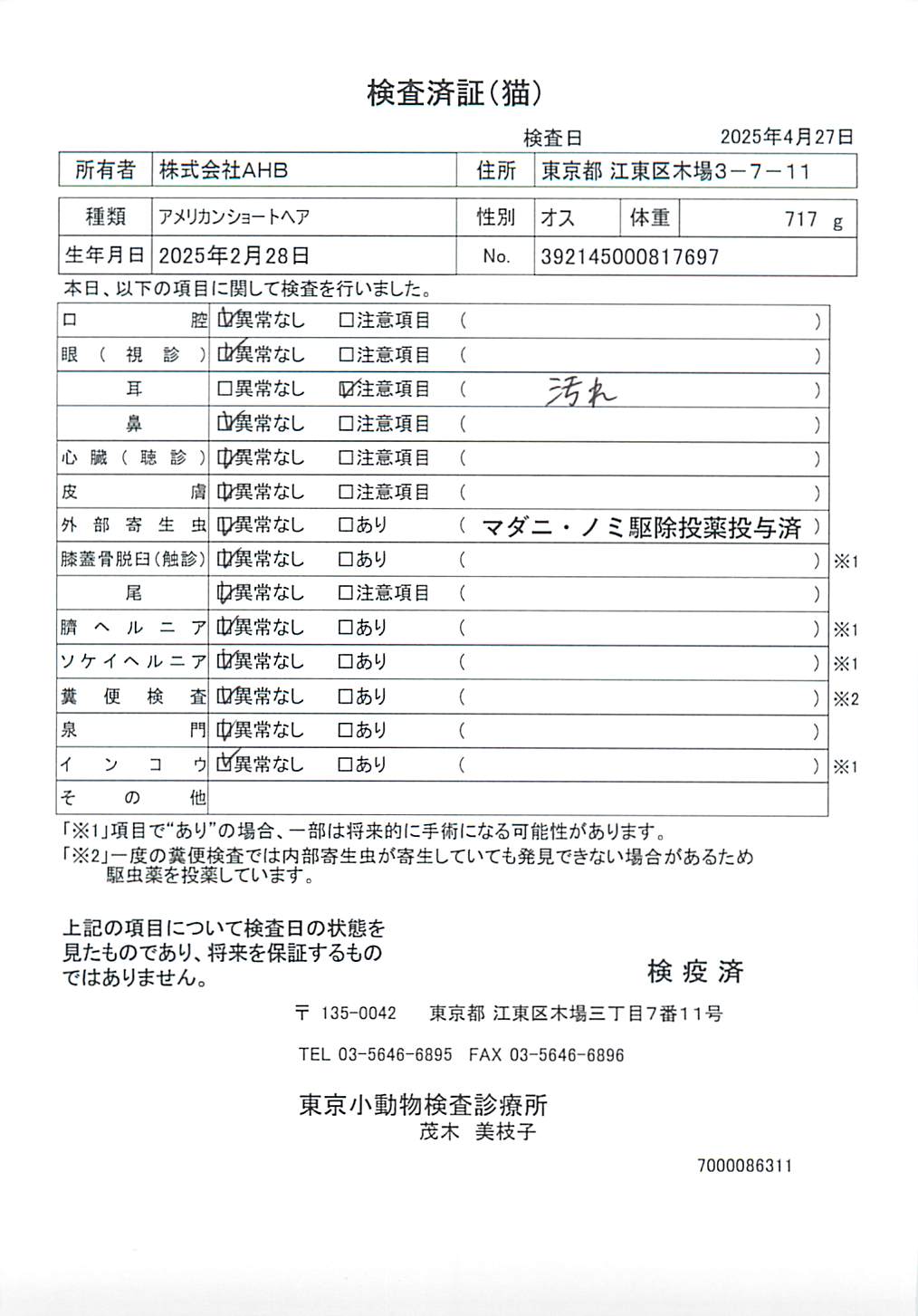 アメリカンショートヘア