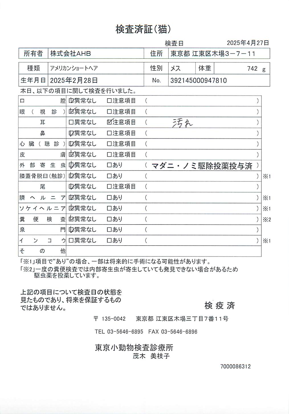 アメリカンショートヘア