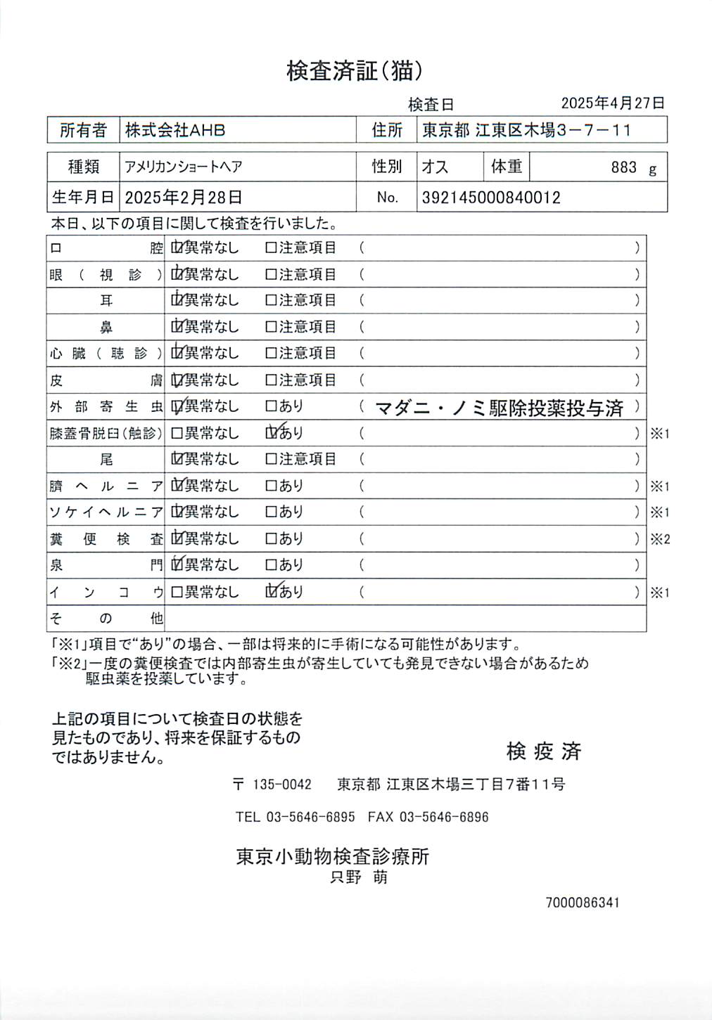 アメリカンショートヘア