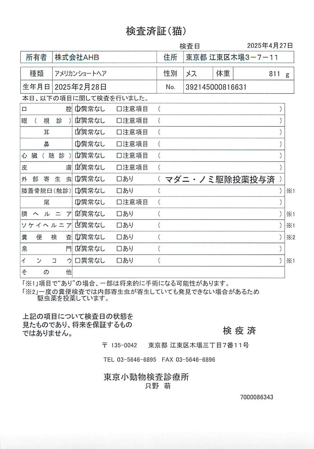 アメリカンショートヘア