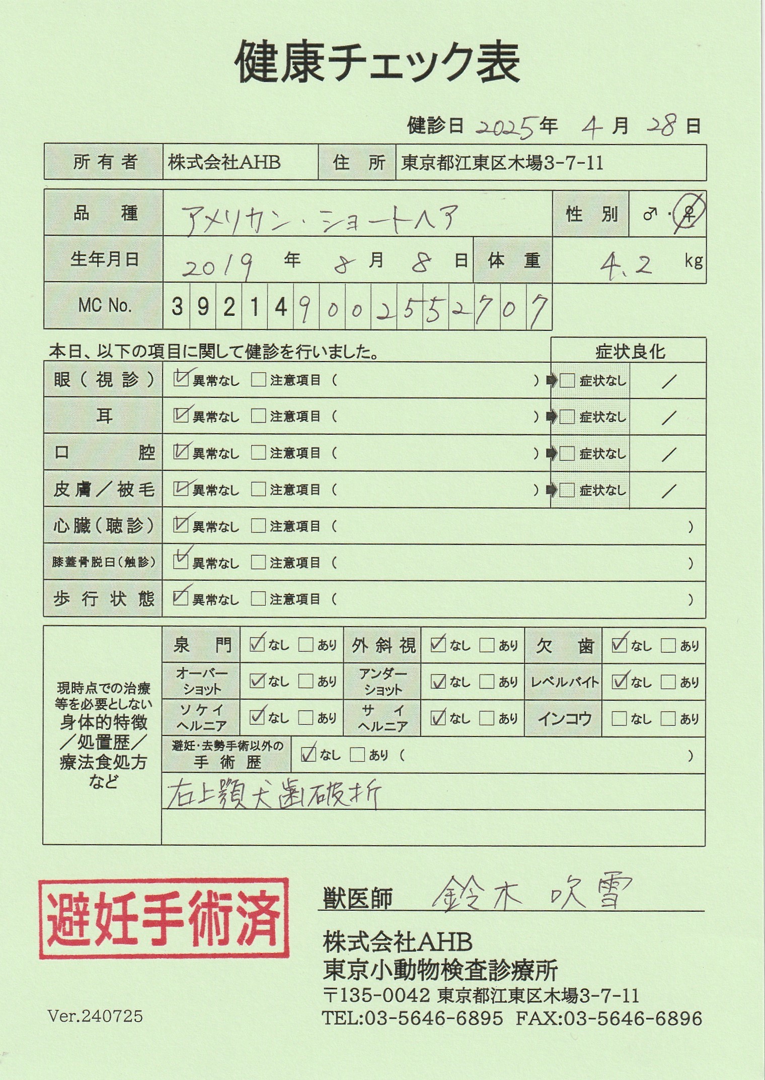 アメリカンショートヘア