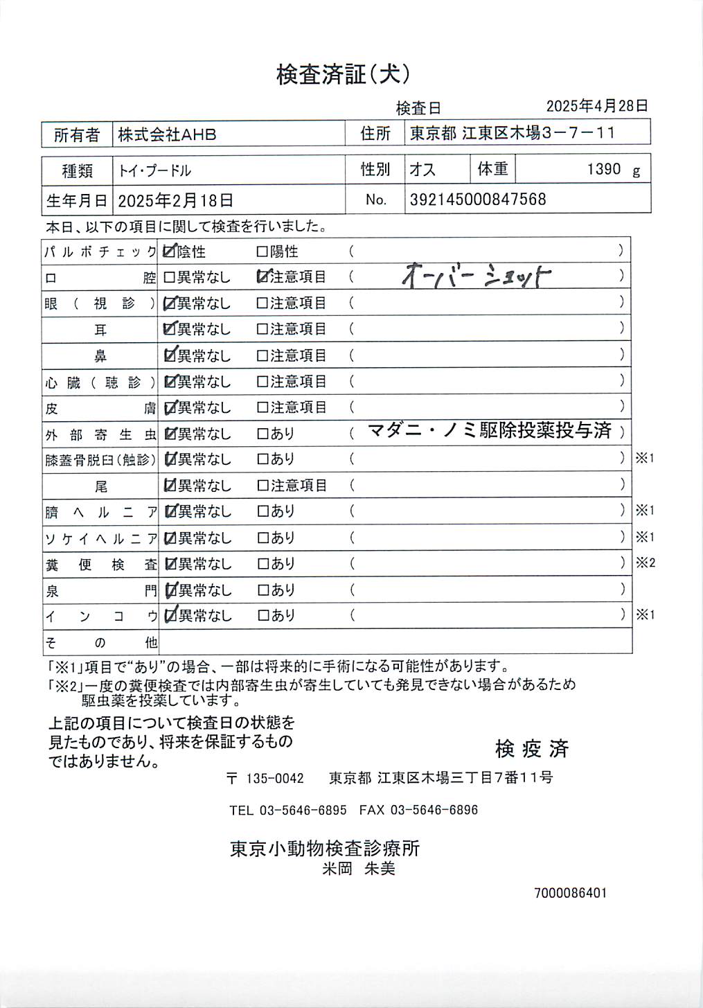 トイ・プードル