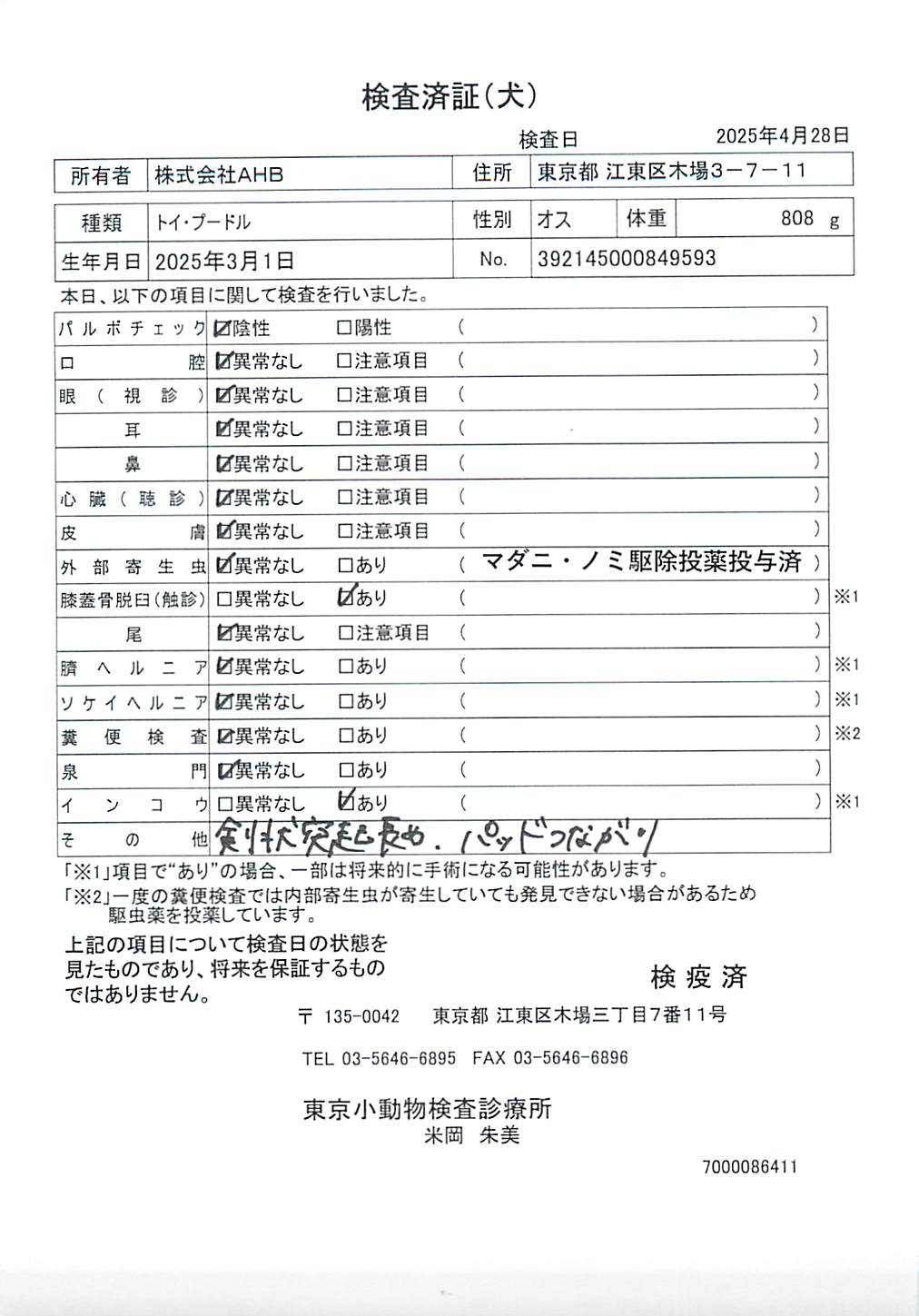 トイ・プードル