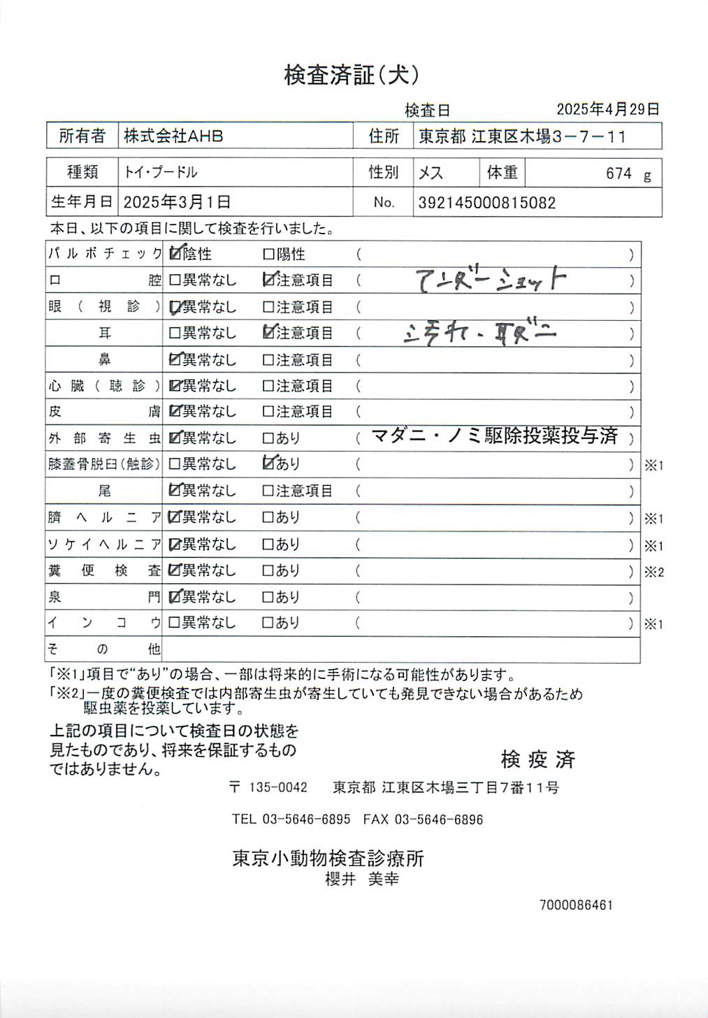 トイ・プードル