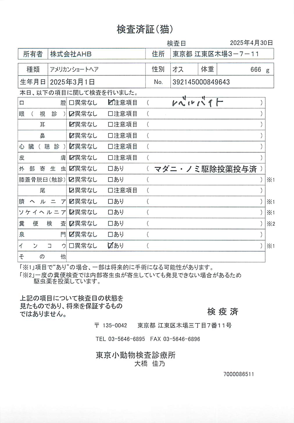 アメリカンショートヘア