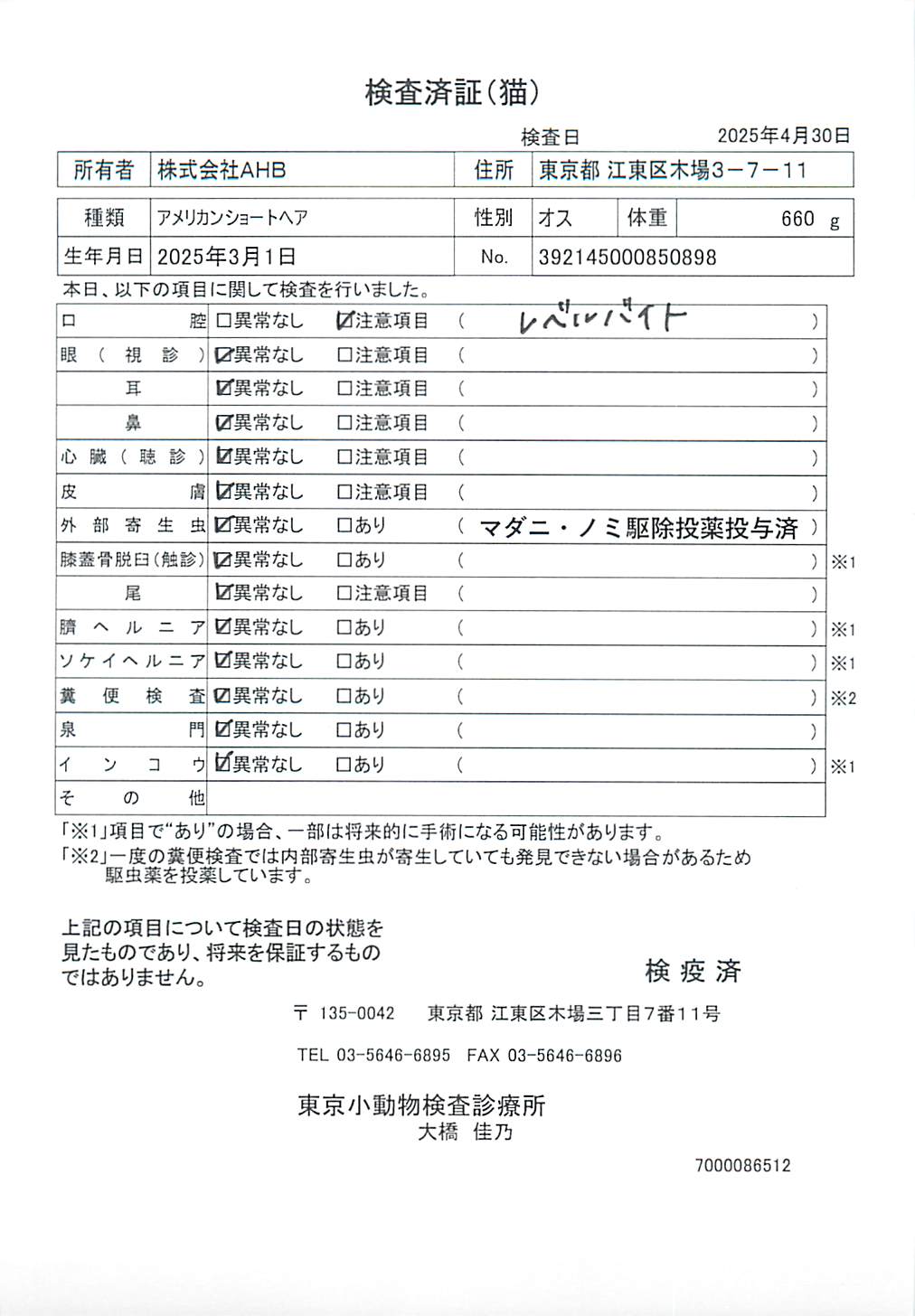アメリカンショートヘア