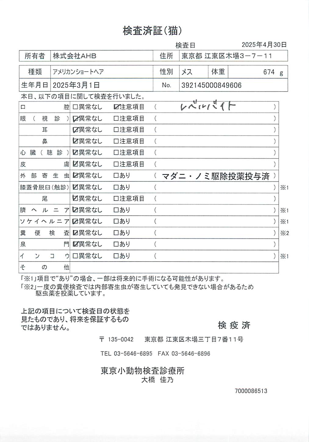 アメリカンショートヘア