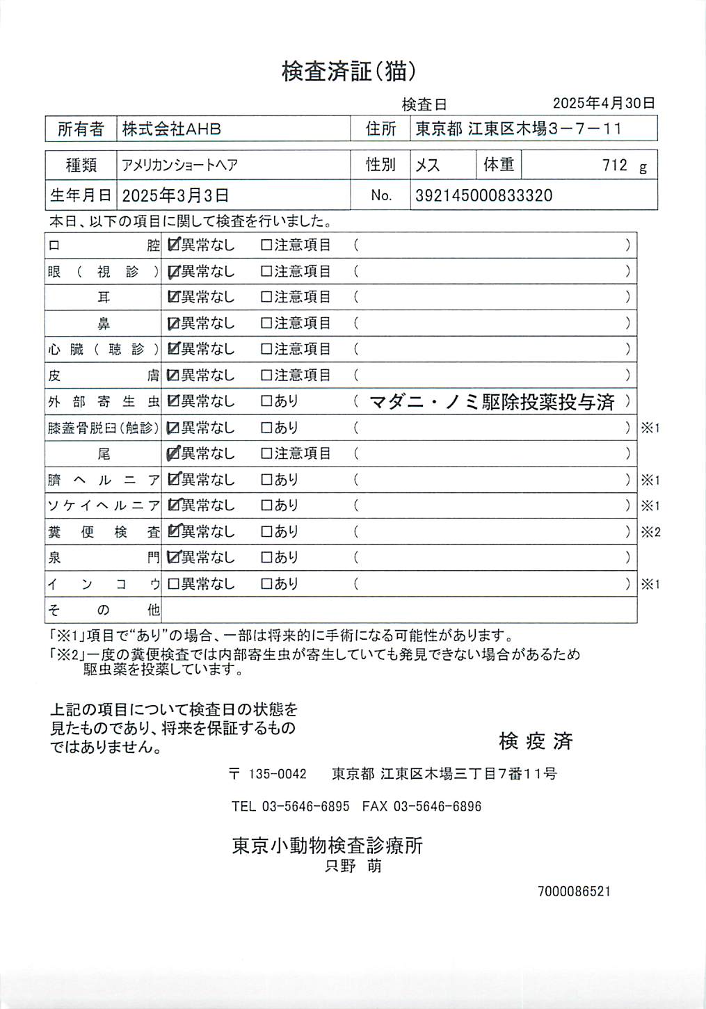 アメリカンショートヘア