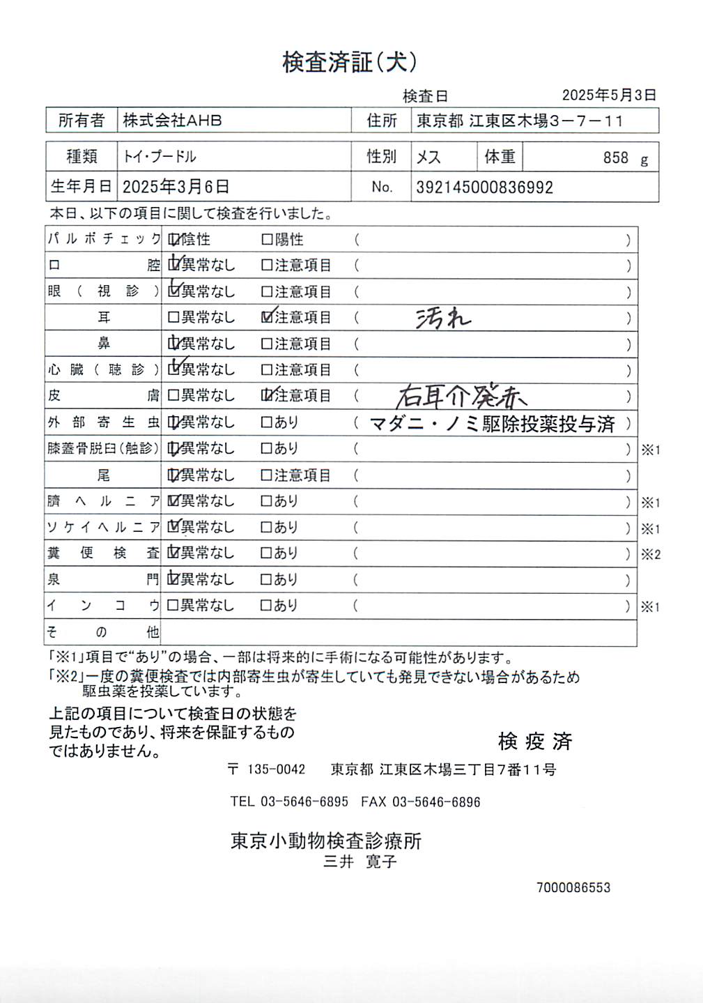 トイ・プードル