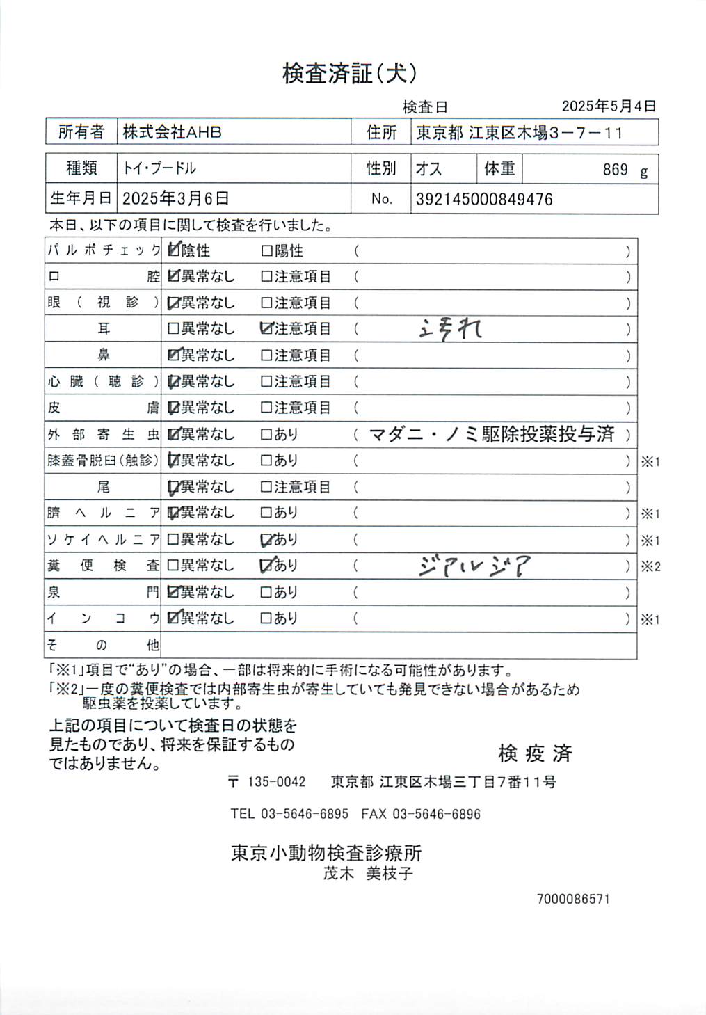 トイ・プードル