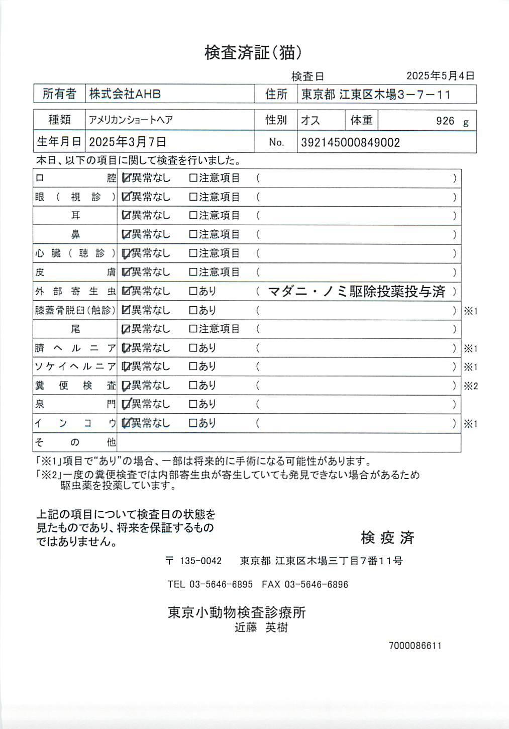アメリカンショートヘア