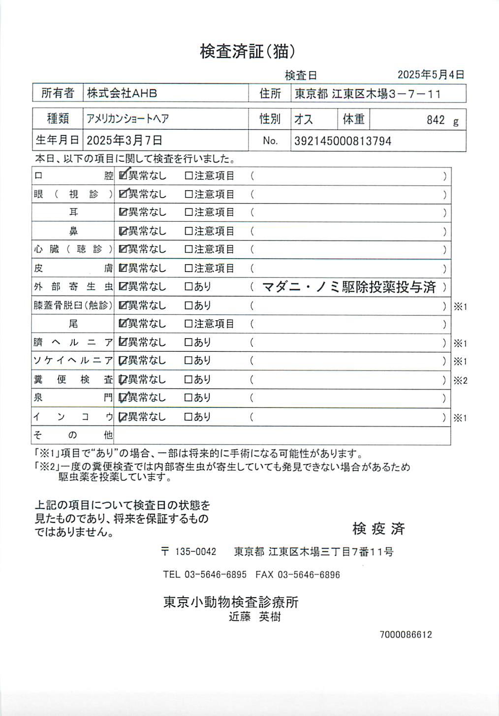 アメリカンショートヘア