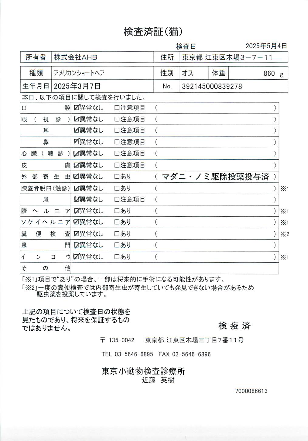 アメリカンショートヘア
