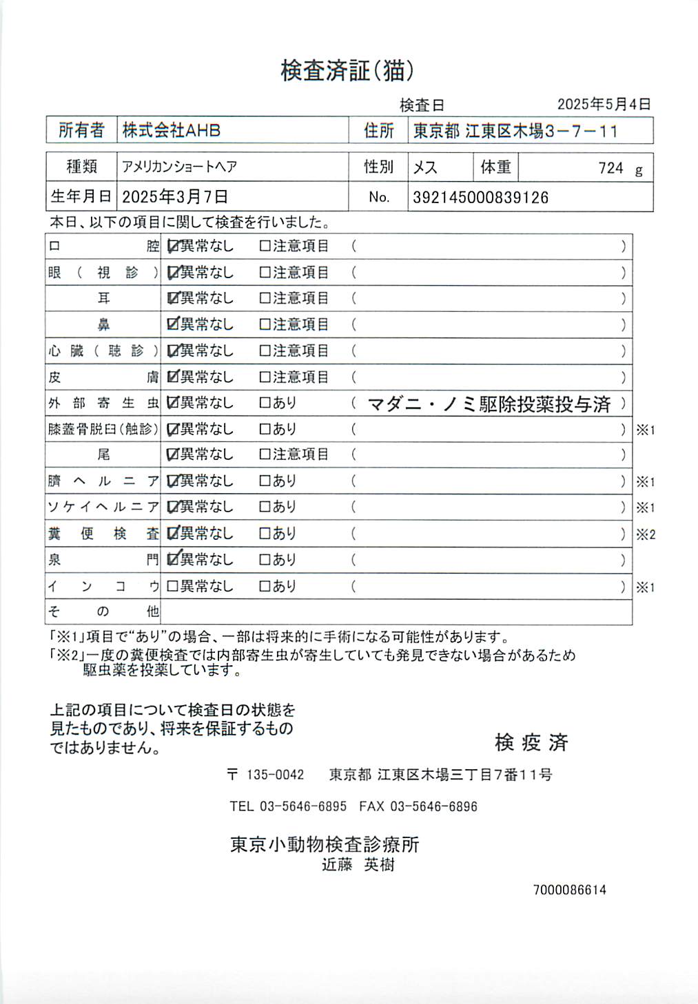 アメリカンショートヘア