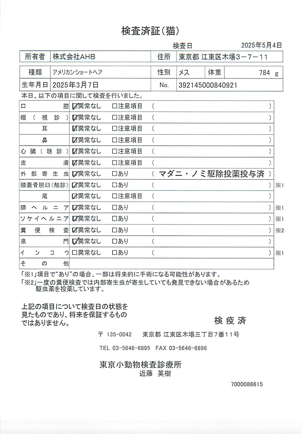 アメリカンショートヘア
