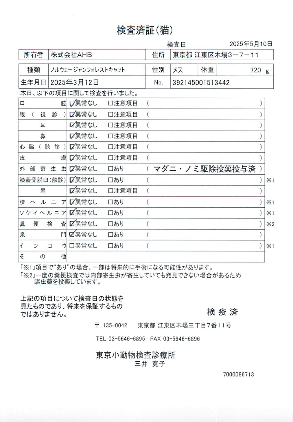 ノルウェージャンフォレストキャット