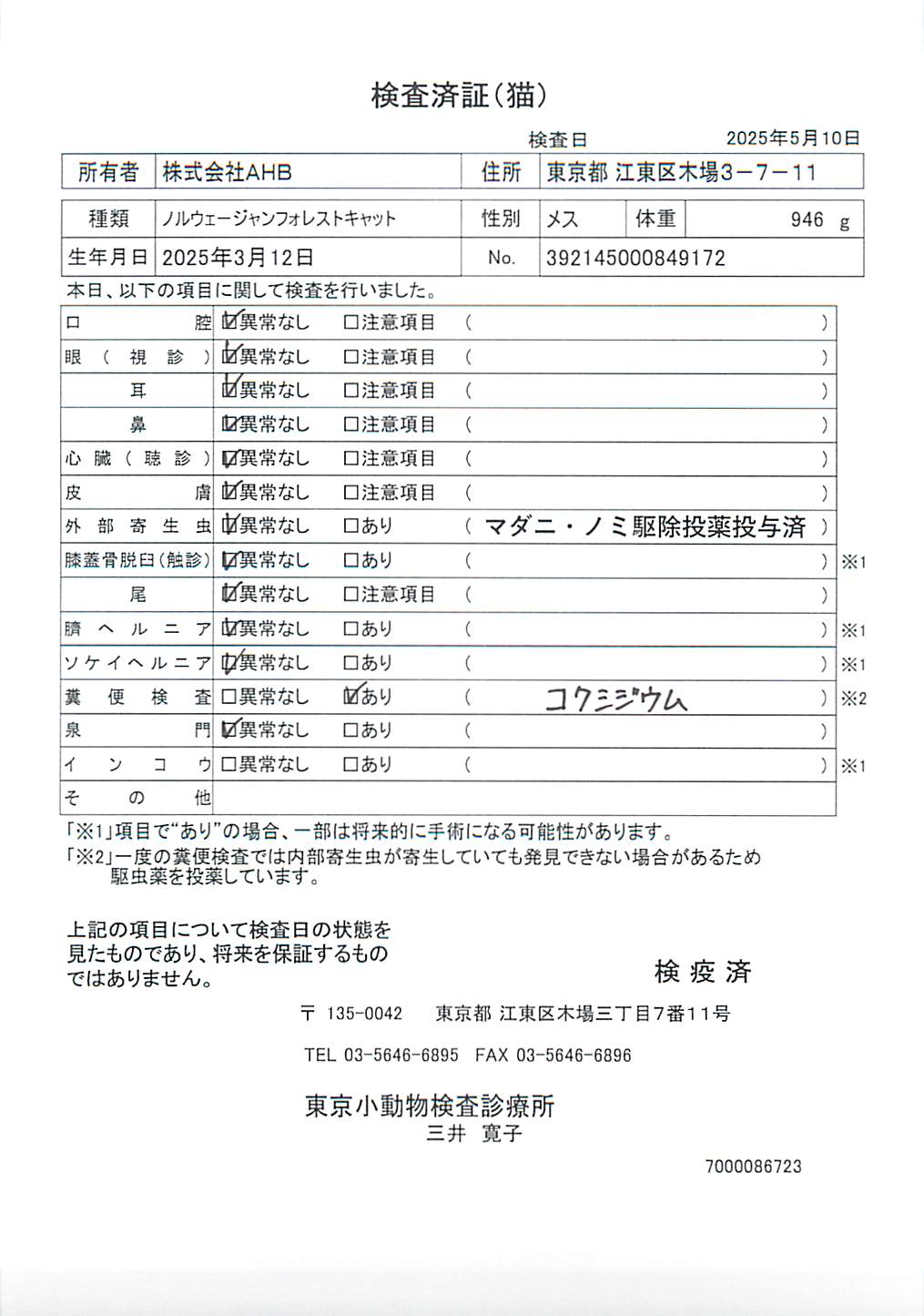 ノルウェージャンフォレストキャット