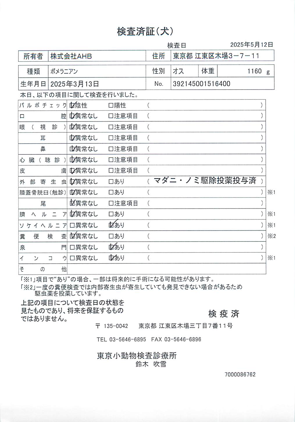 ポメラニアン