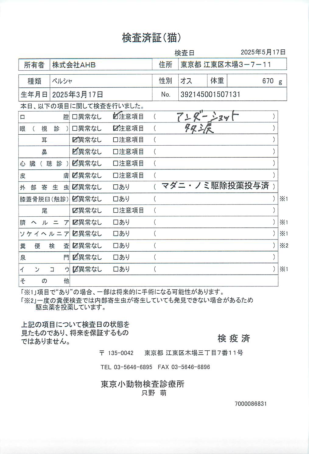 ペルシャ