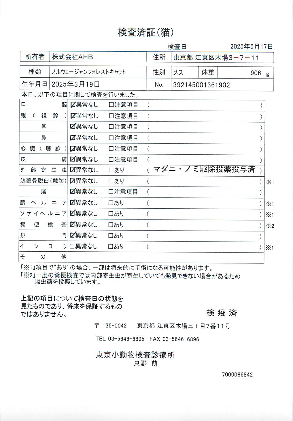 ノルウェージャンフォレストキャット